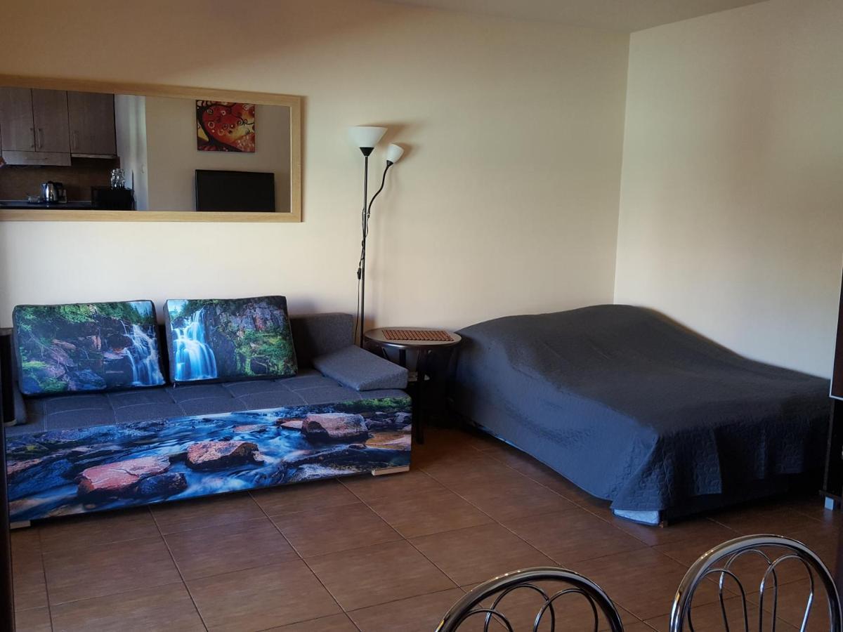 Apartament Jacek コウォブジェク エクステリア 写真
