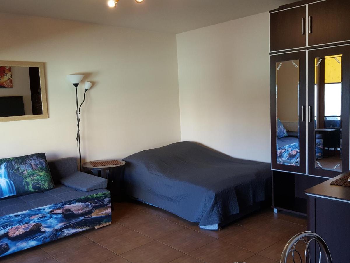 Apartament Jacek コウォブジェク エクステリア 写真